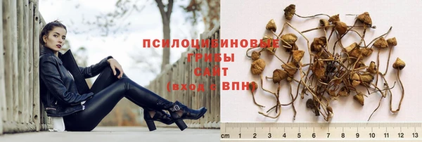 марки lsd Медвежьегорск